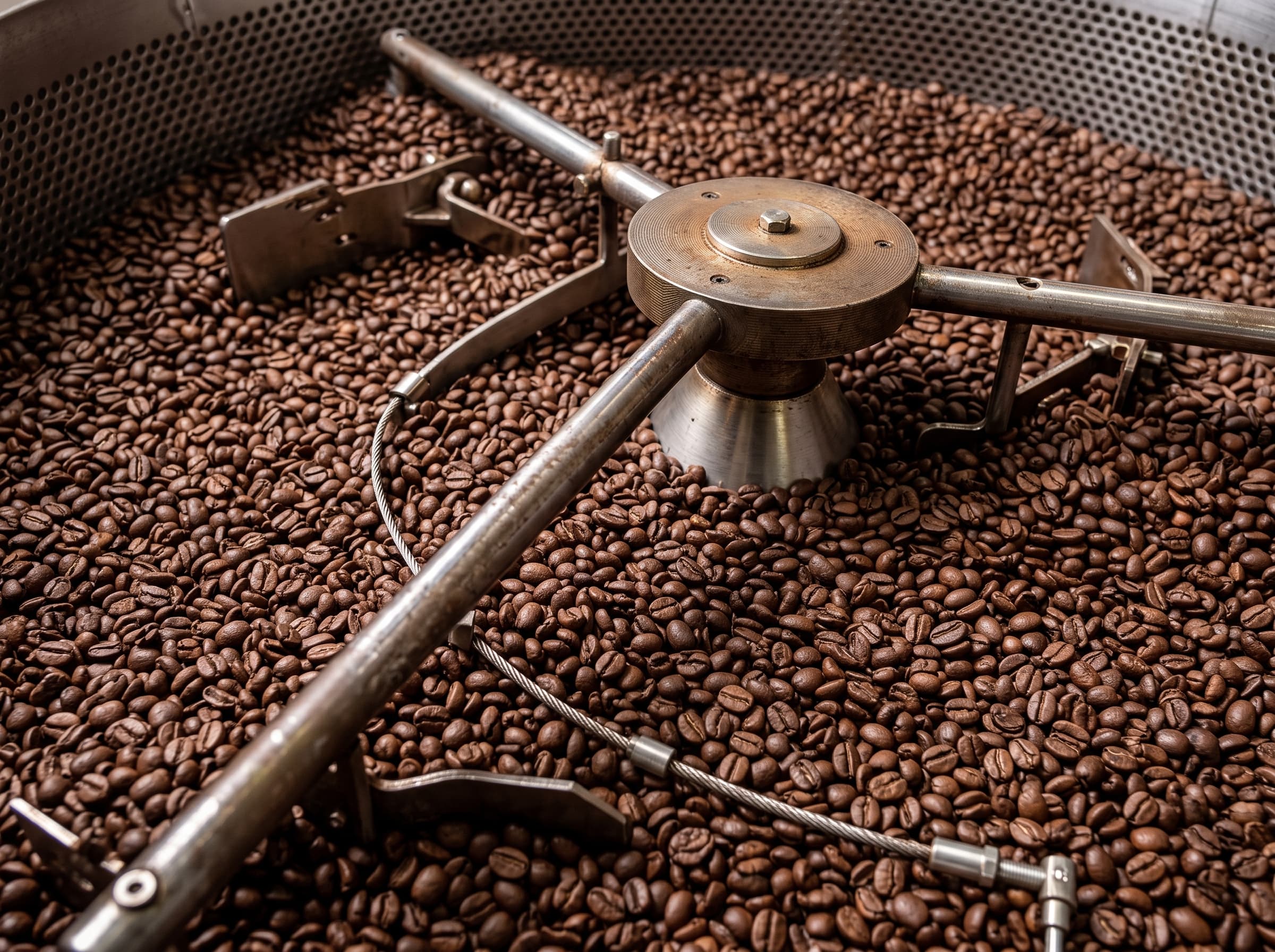 Freshly roasted coffee beans turning in a cooling tray